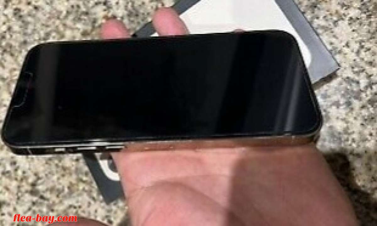 iphone 13pro max