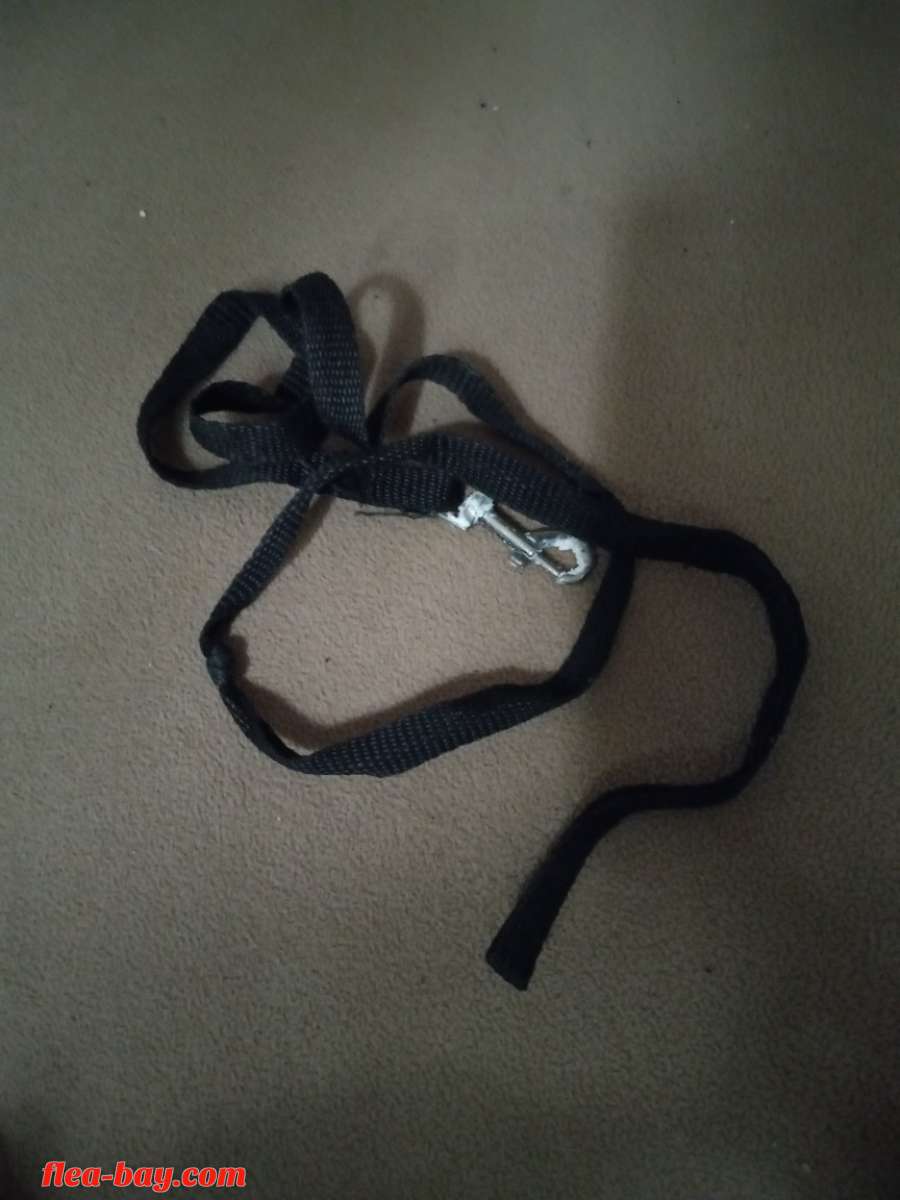 this is a brand new dog leash