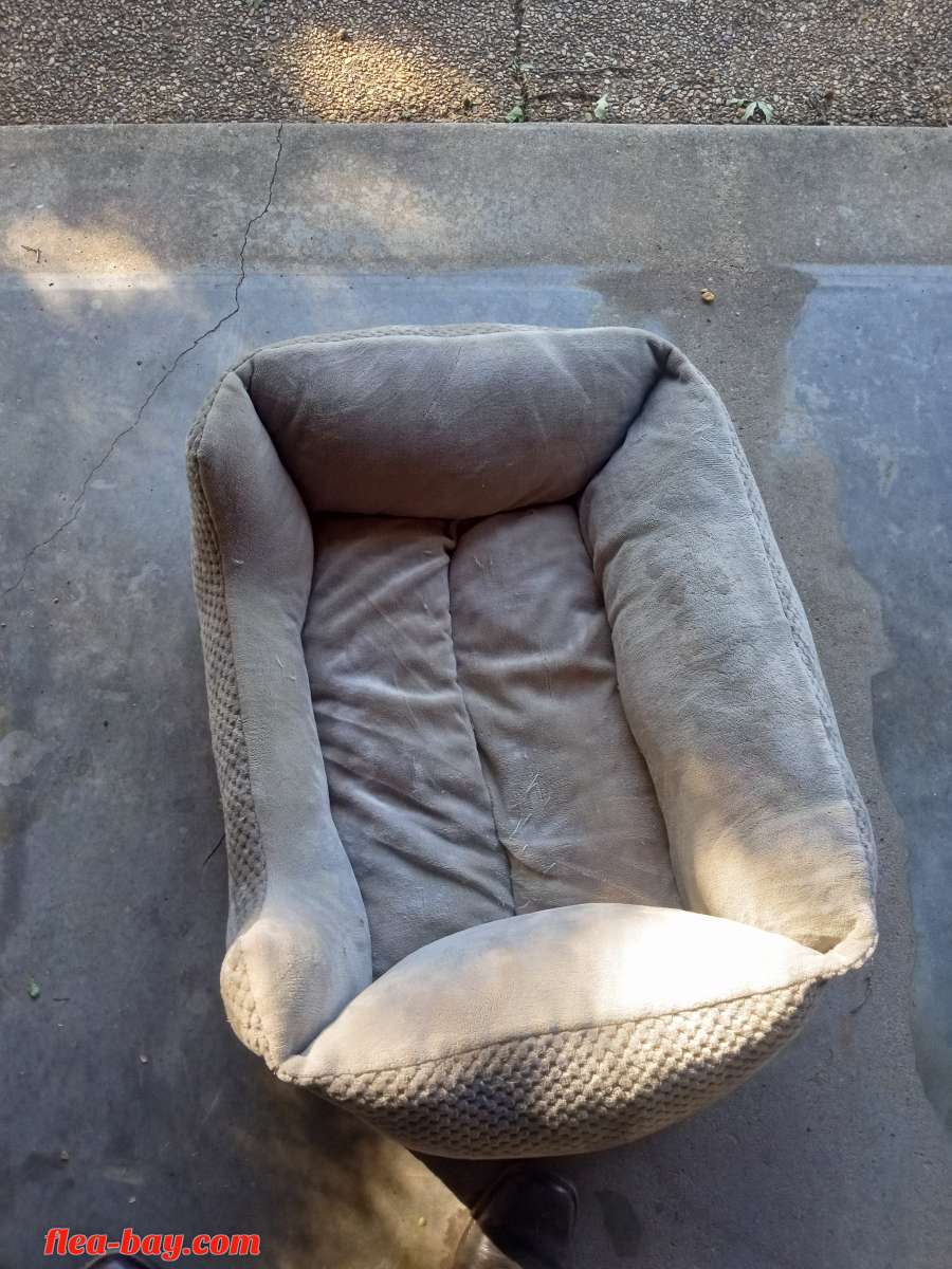dog bed