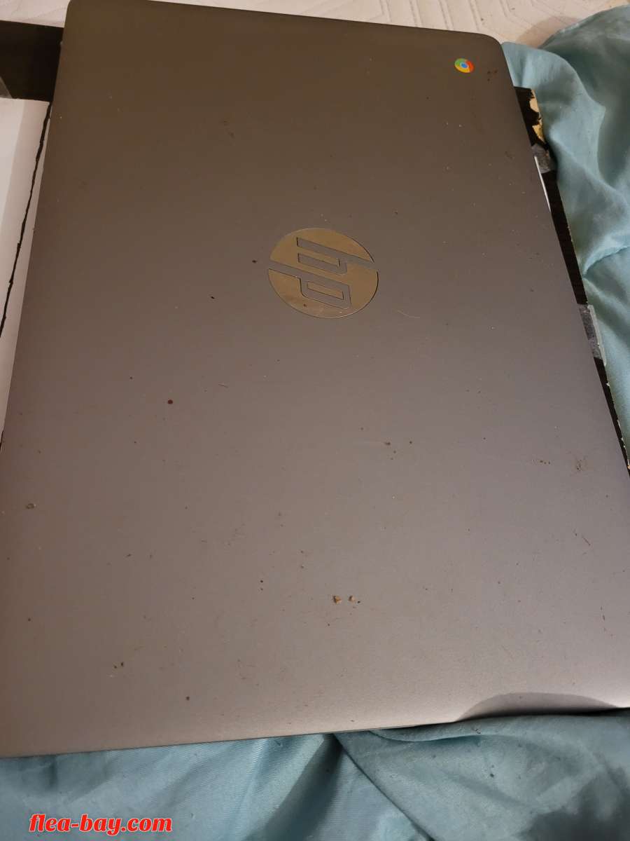 hp chromebook