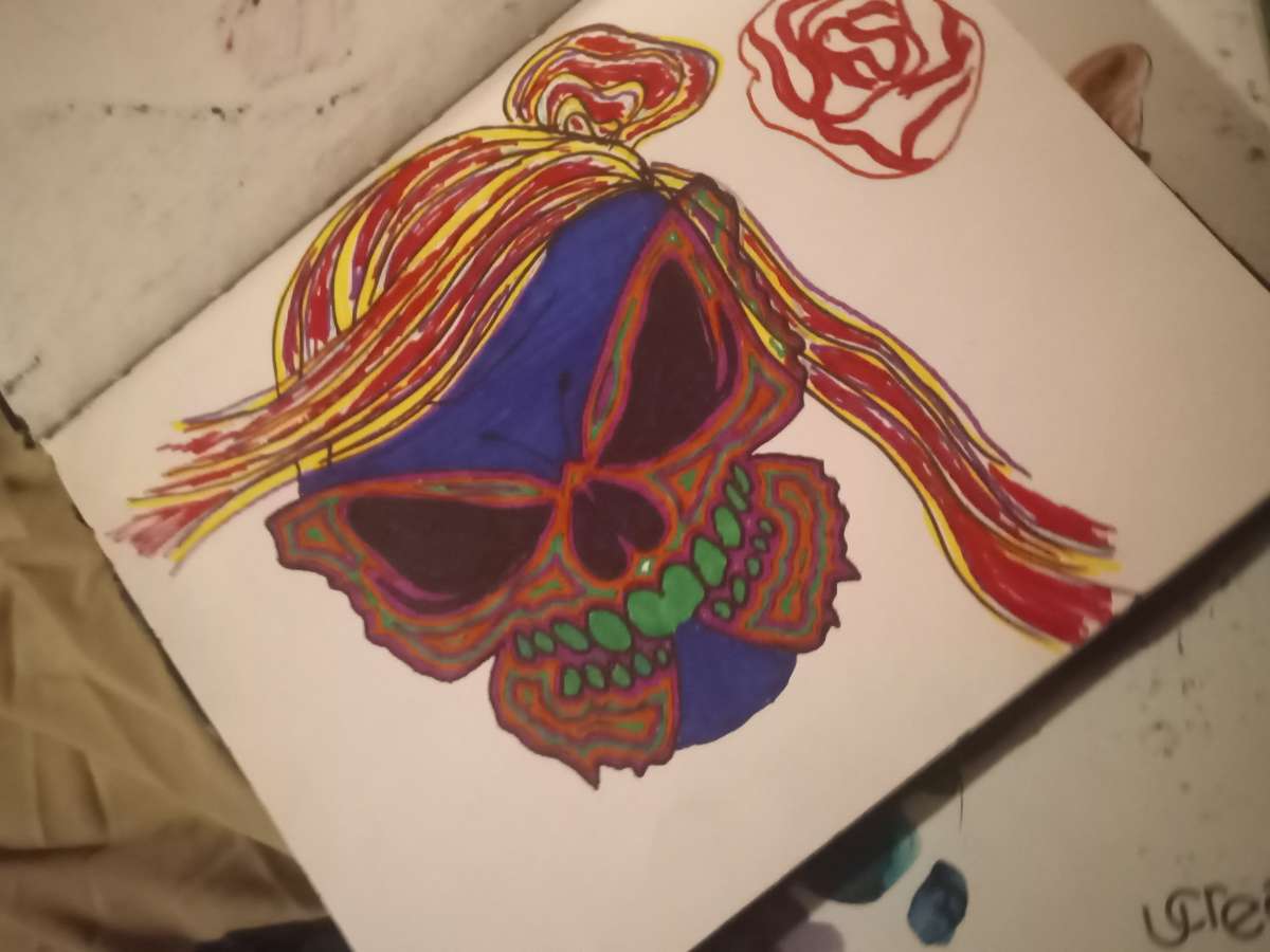 Butterfly skull face