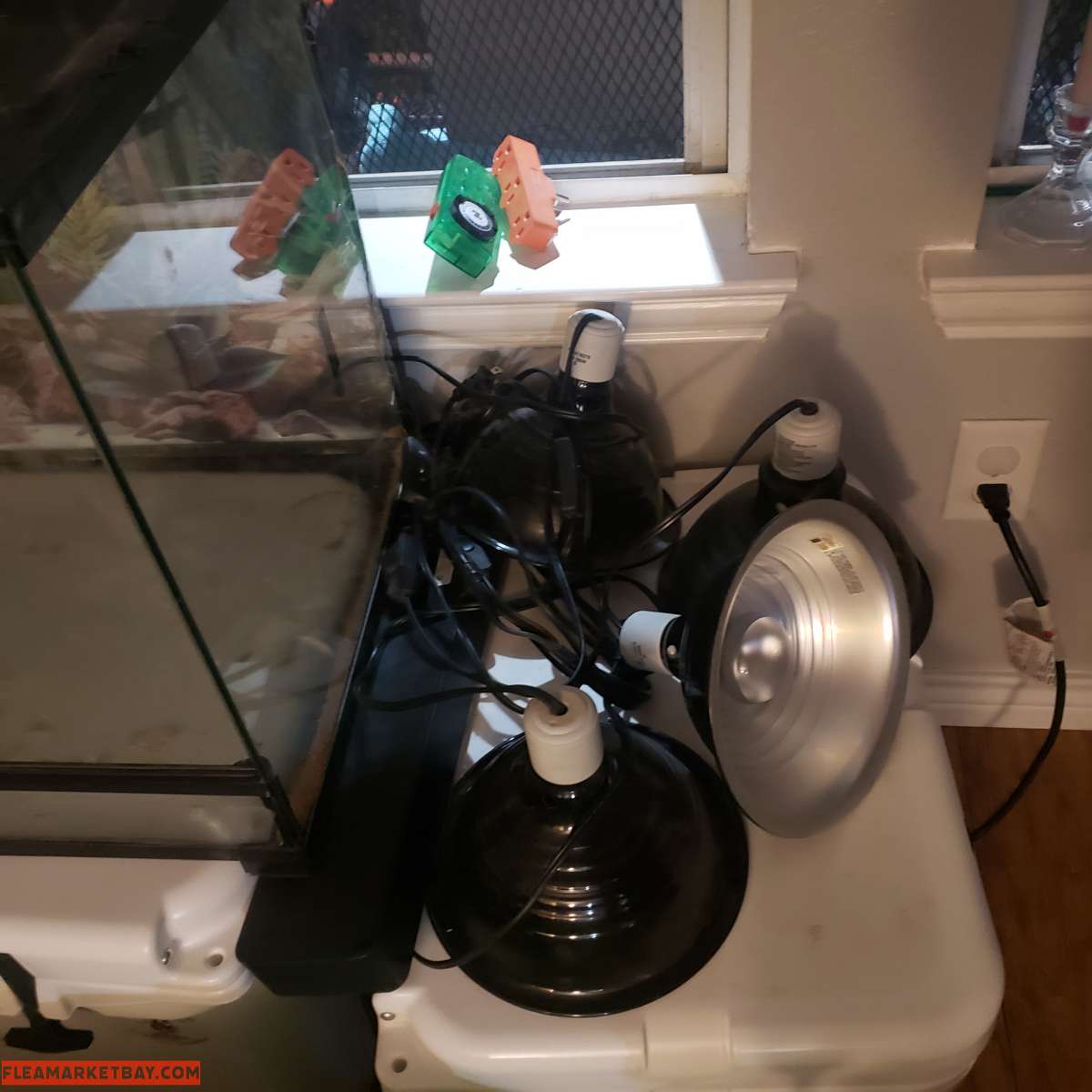 Bearded Dragon (or reptile) Set Up