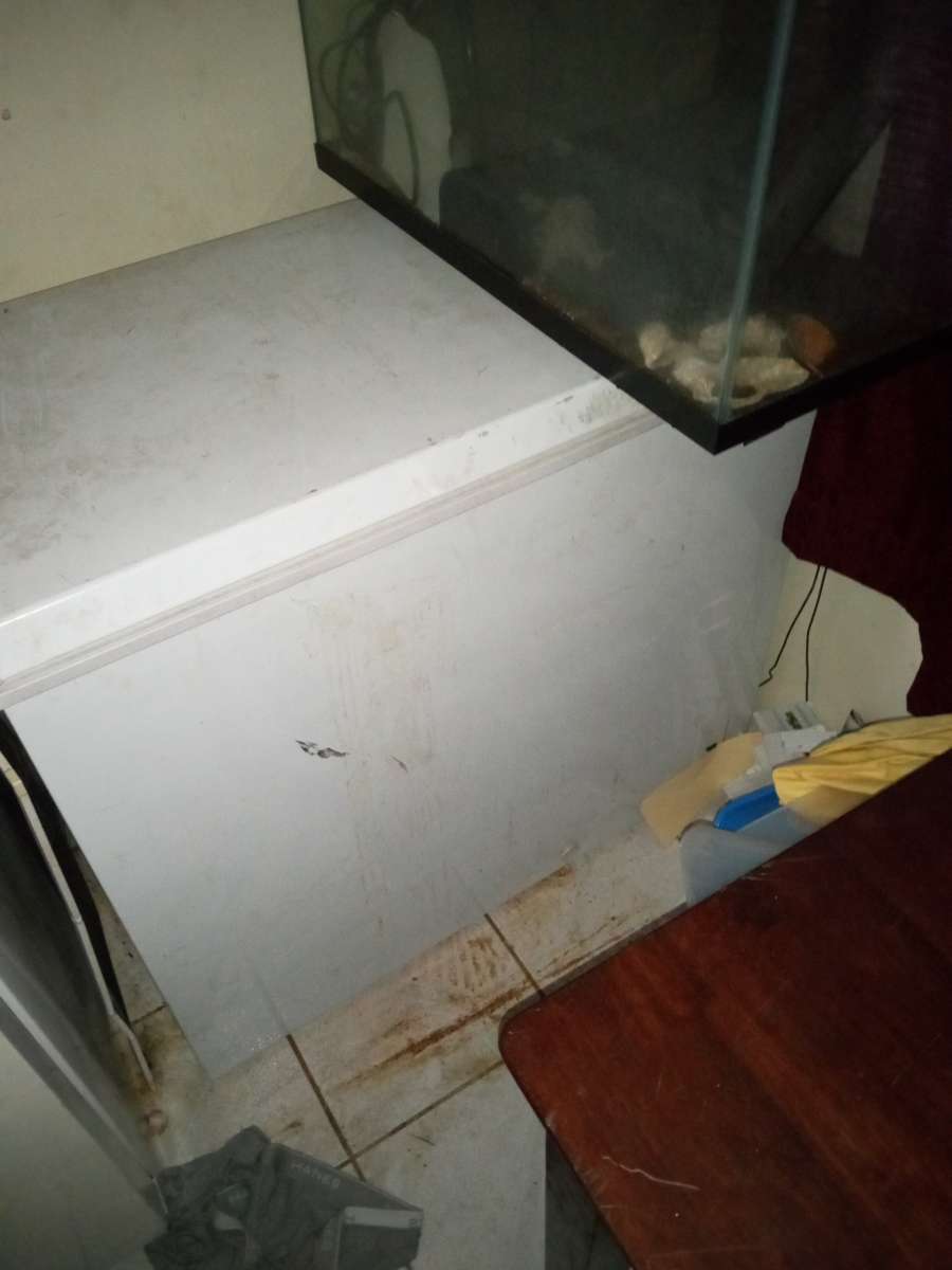 deep freezer chest