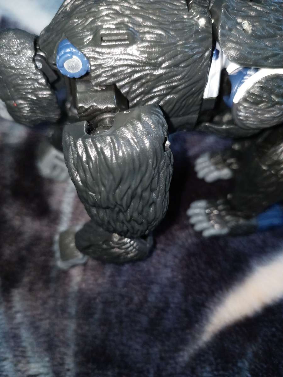 optimus primal Transformers