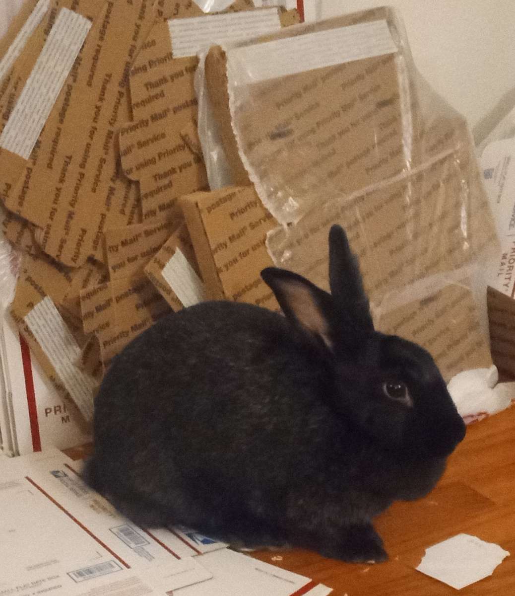 LITTLE CRITTER(S) AND SUPPLIES!