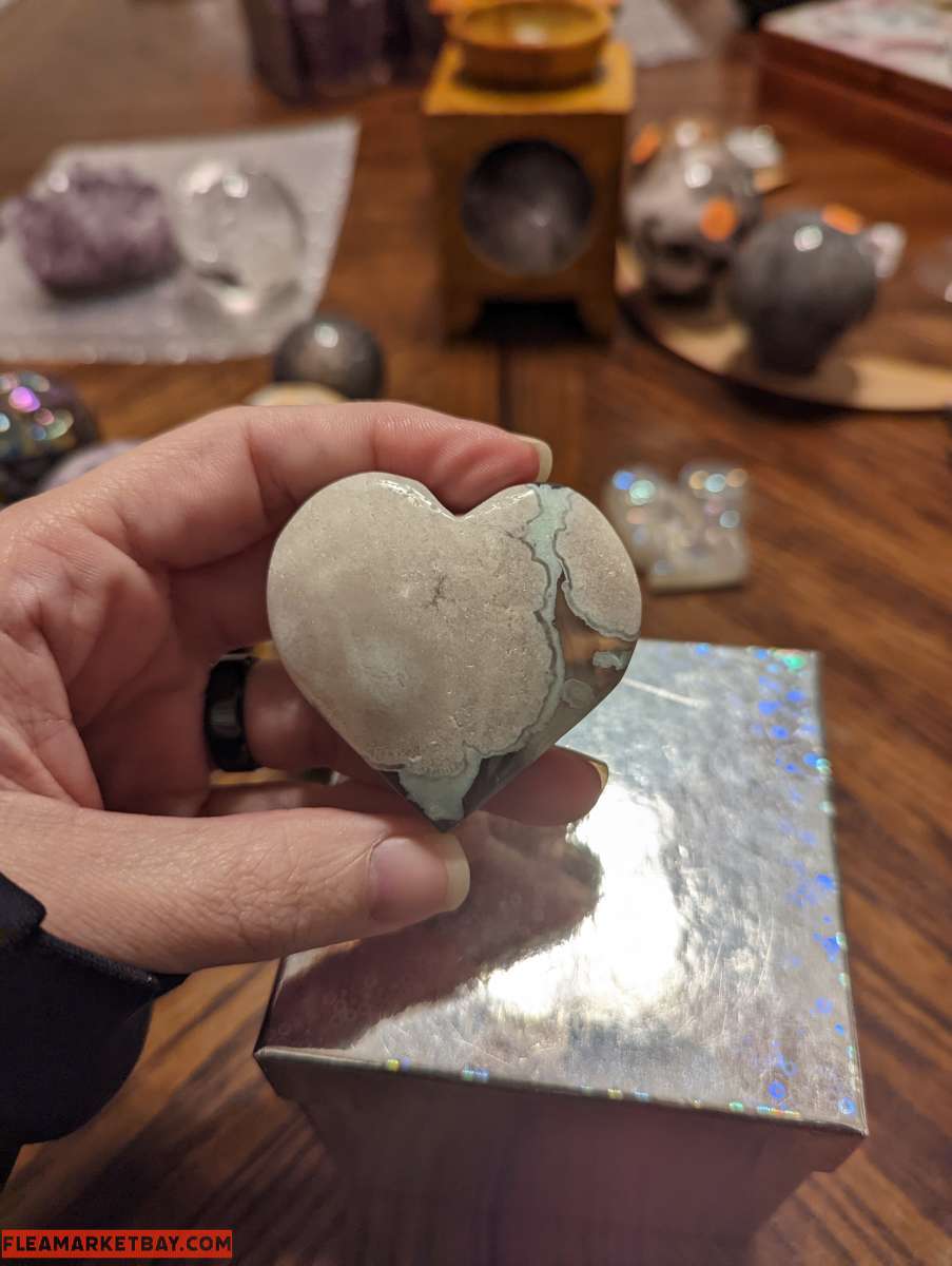 Black Flower Agate With Druzy Pocket