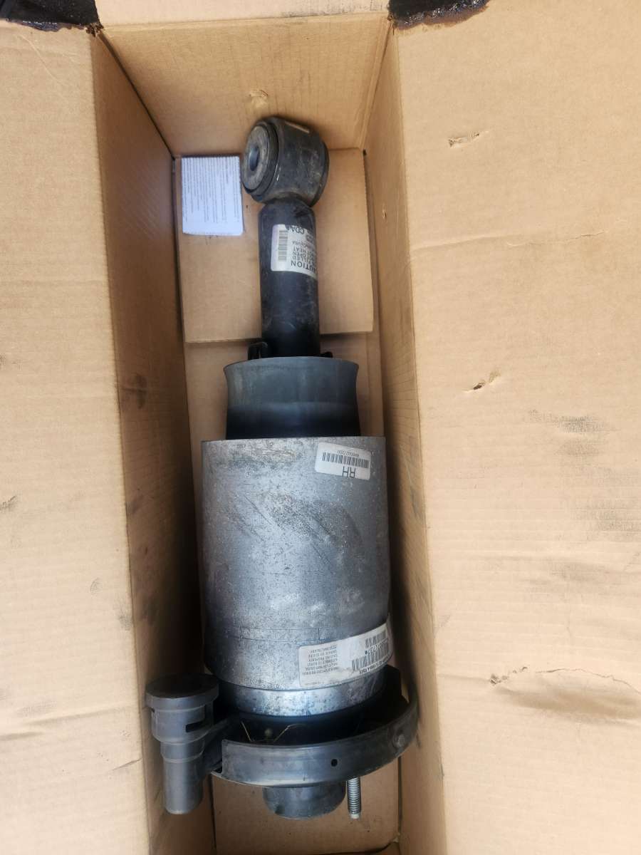 Ford/Lincoln rear air struts
