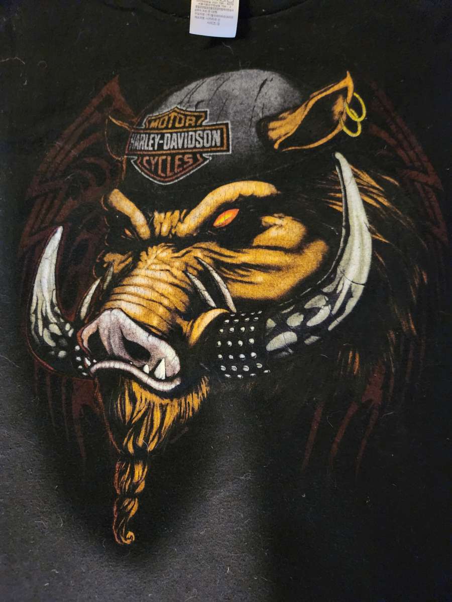 Harley Davidson Used LG two shirts Both Lubbuck Tx