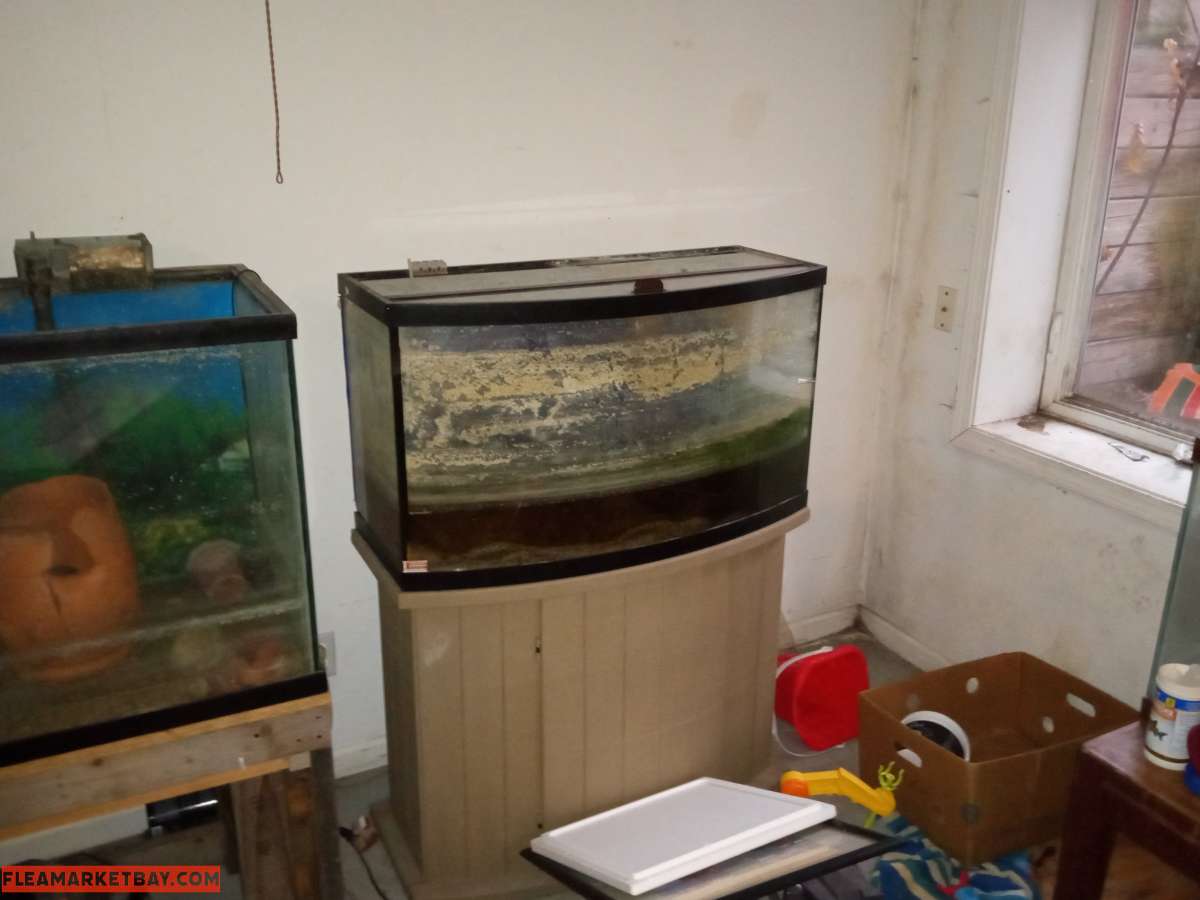 multiple fish tanks
