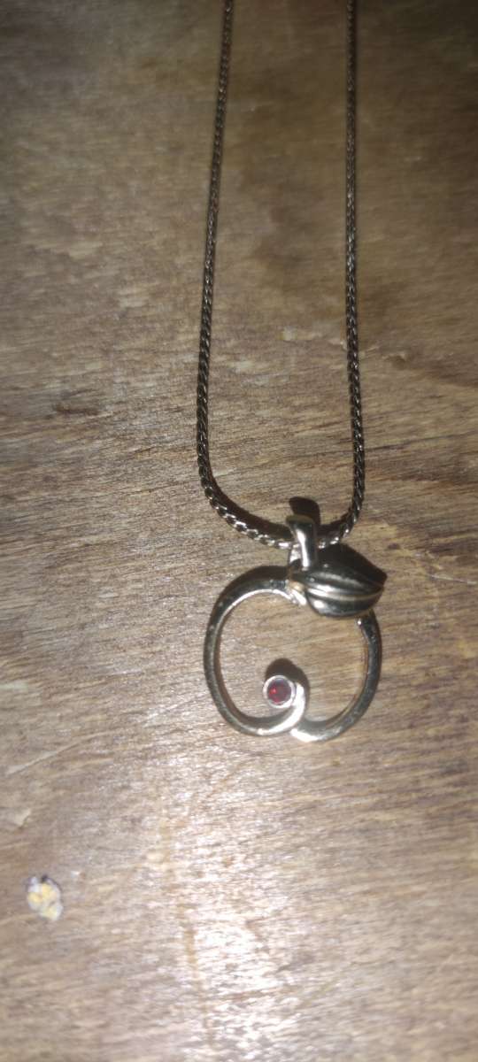 Tiny red crystal apple pendant on gold chain retails 106