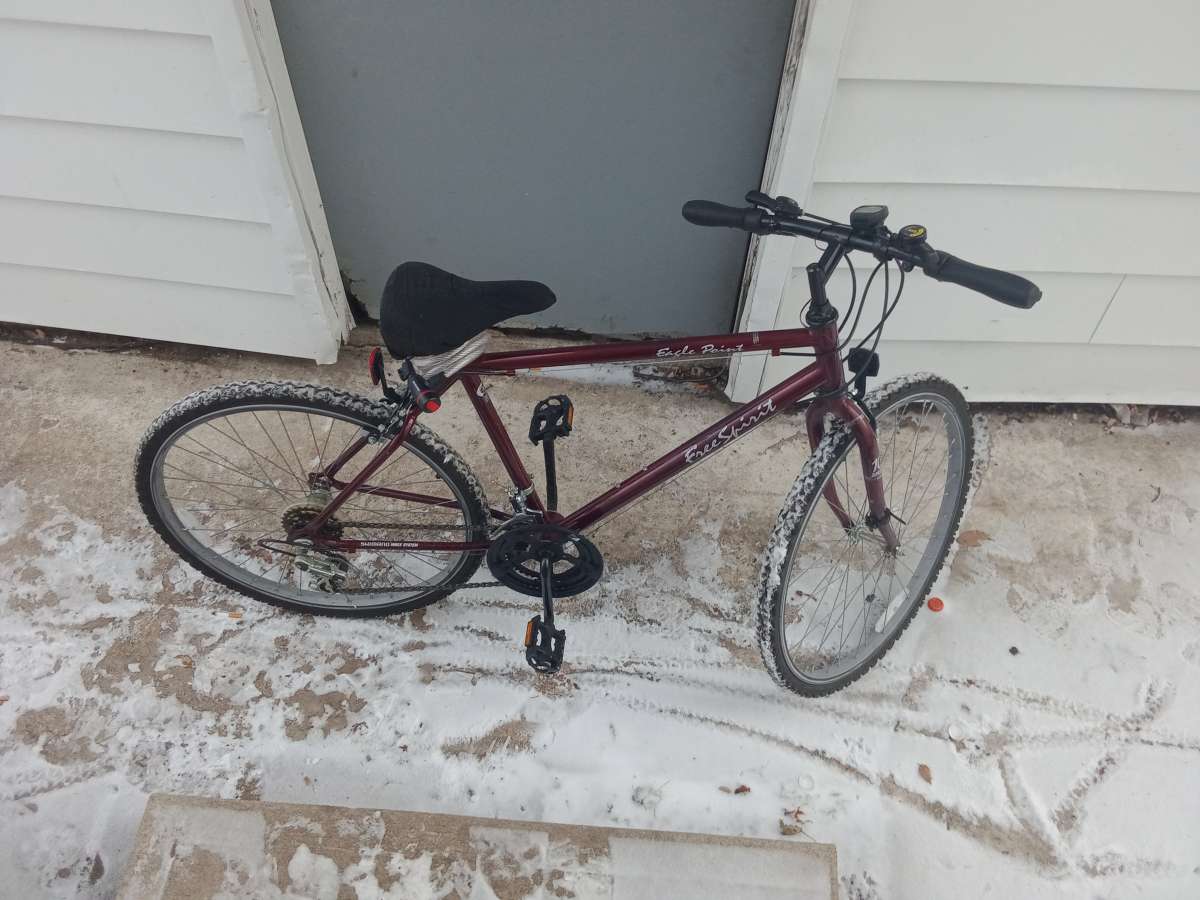 brand new free spirit eagle point 10 speed mountain bike