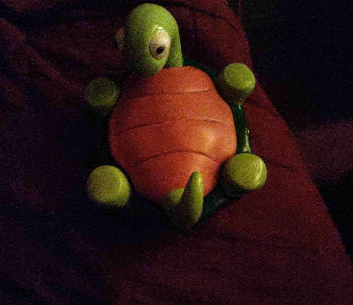 vintage turtle trinket box