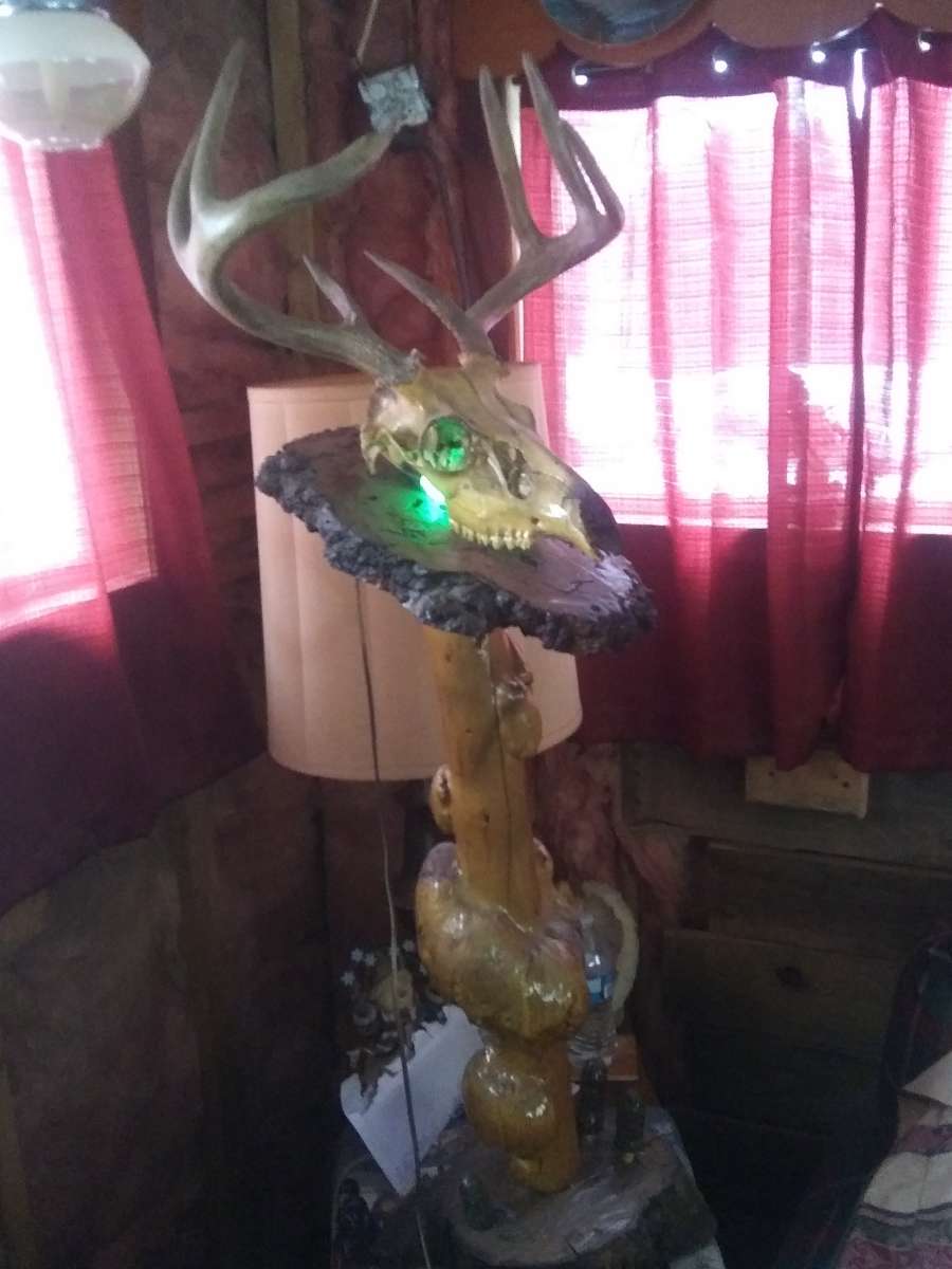 8 Piont European swamp buck