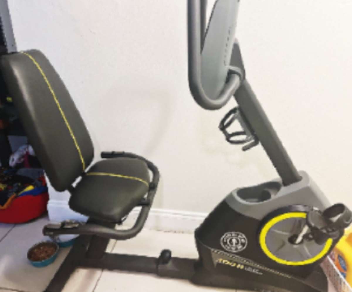 golds gym exercise bike