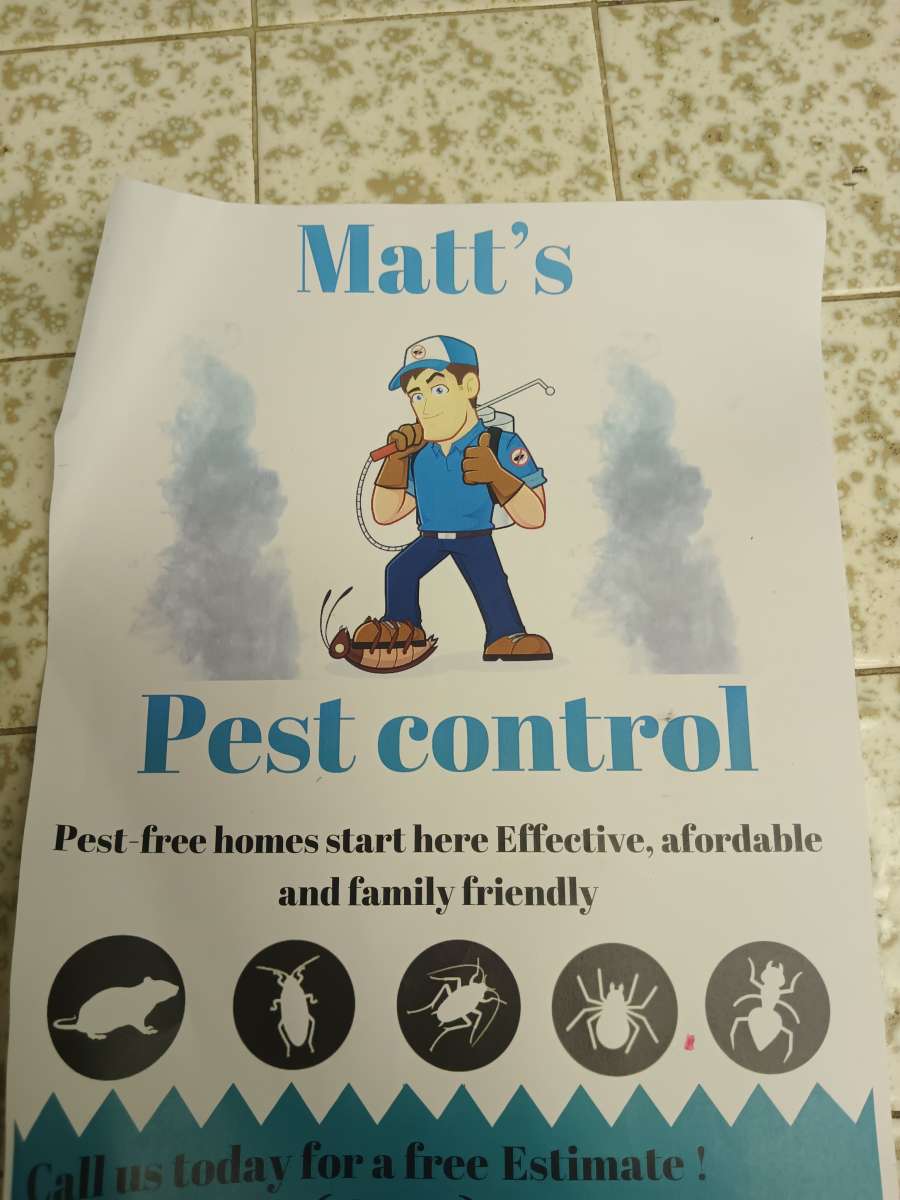 pest control termites too