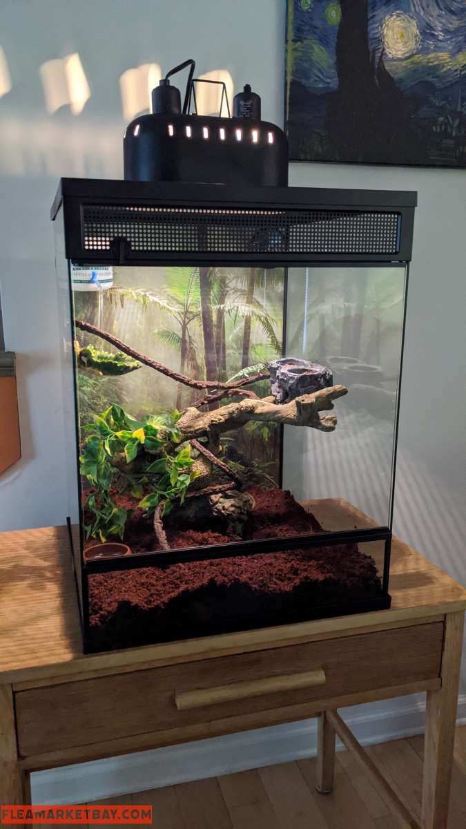 Vertical Reptile Terrarium