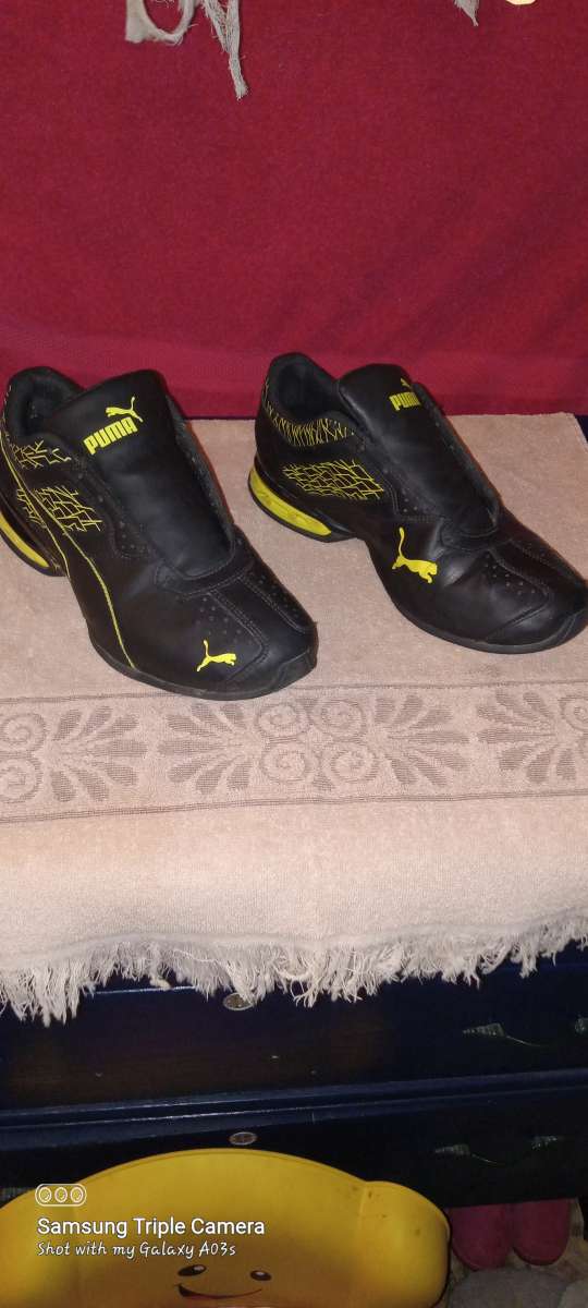 mens pumas size 10