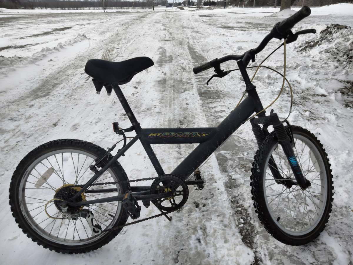 20 Inch Mens Roadmaster Comfort Mountain Bike