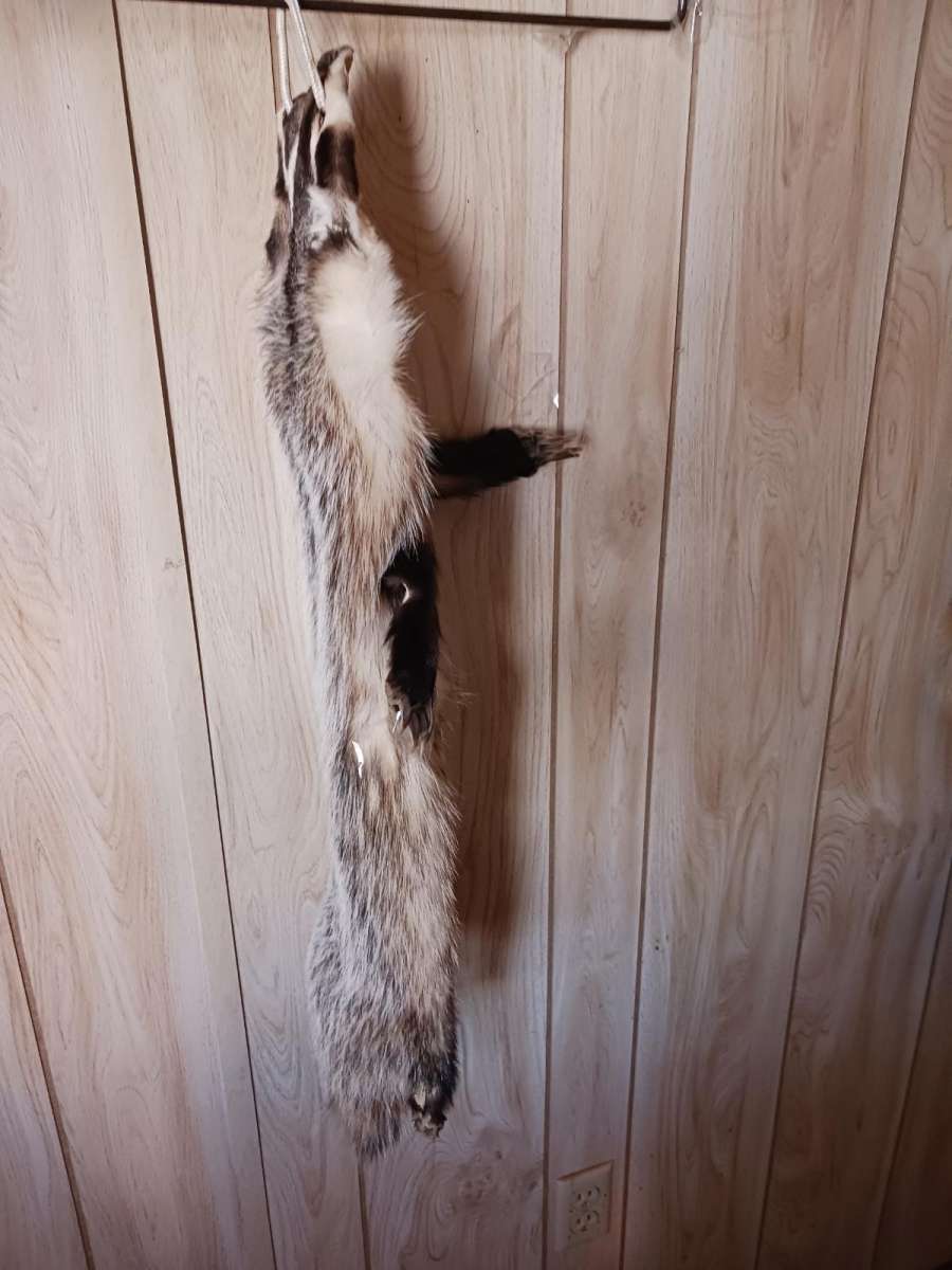fox furs badger furs skunk fur