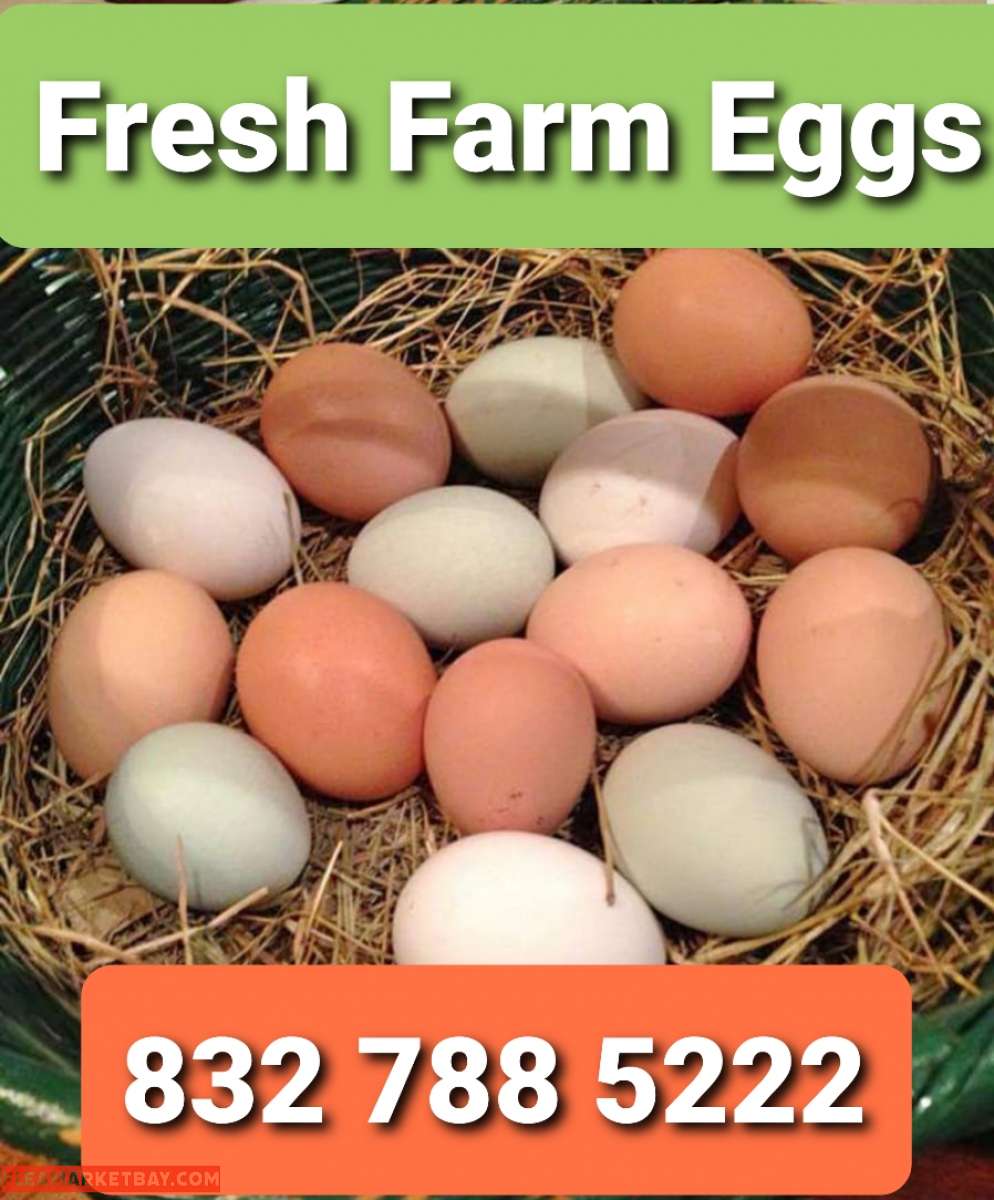Eggs Farm Fresh Eggs