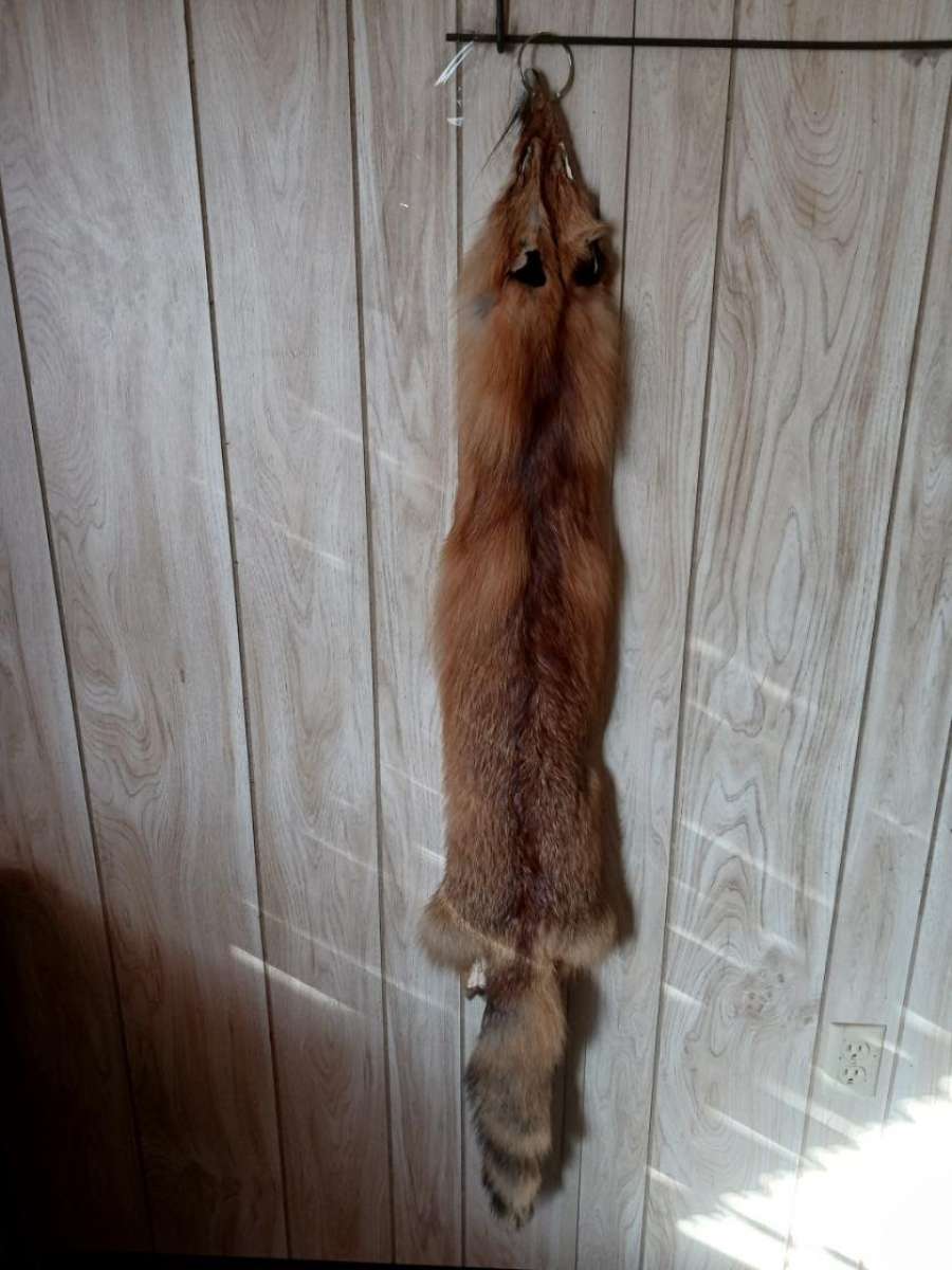 fox furs badger furs skunk fur