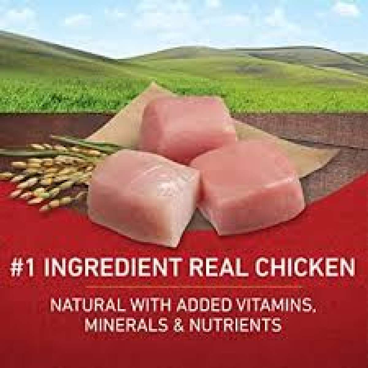 Purina One Chicken And Rice Adult Dog Food