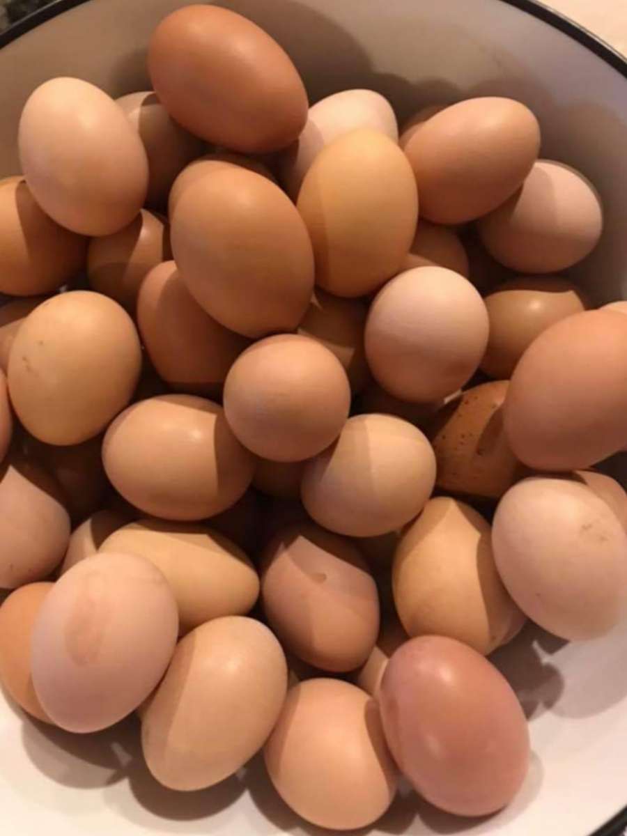 Eggs Farm Fresh Eggs