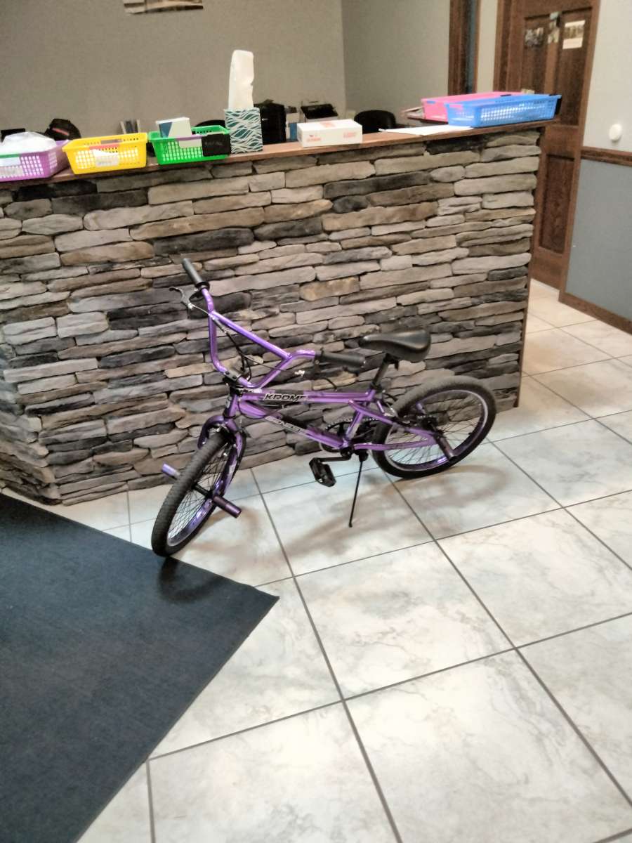 BMX freestyle 20 inch bike