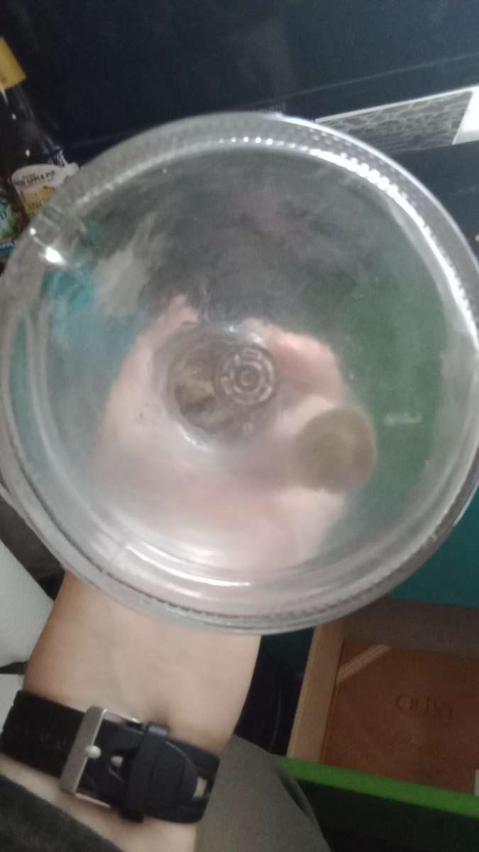 Liquor Bottle I Dream Of Geenie