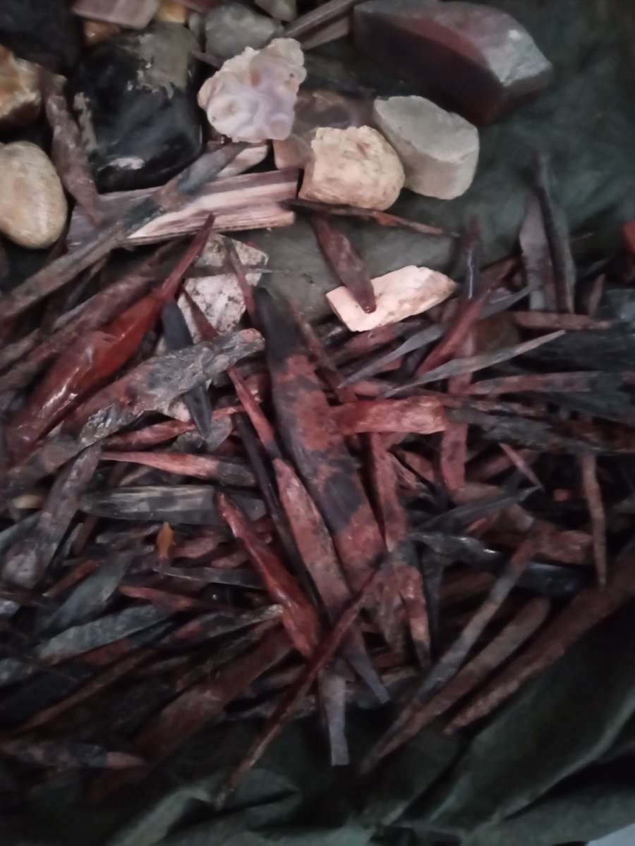 petrified opalized and agatized wood from all over the world