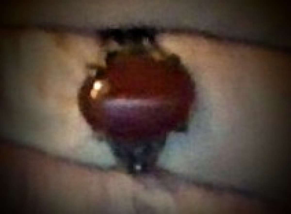 Fashion Rings