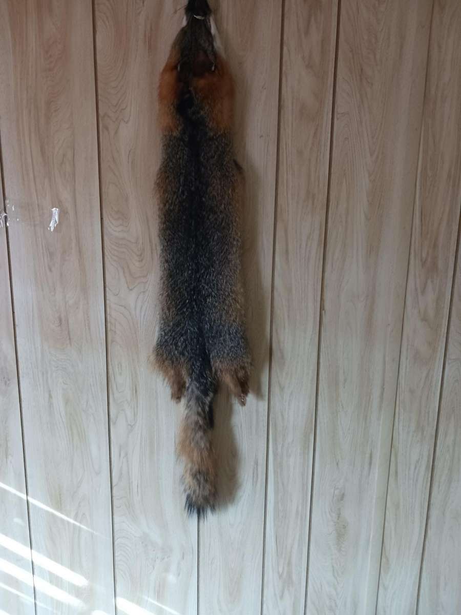 fox furs badger furs skunk fur