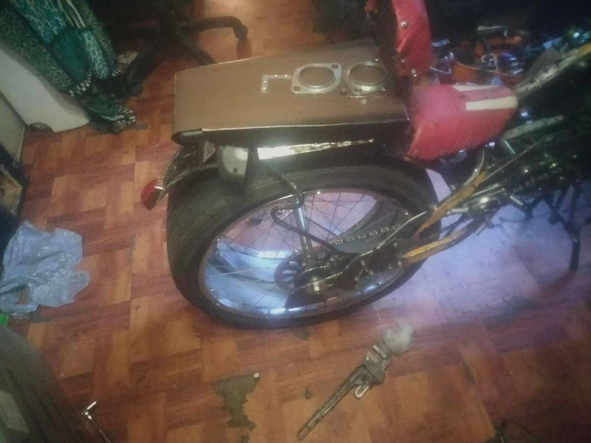 stingray custom motor bike