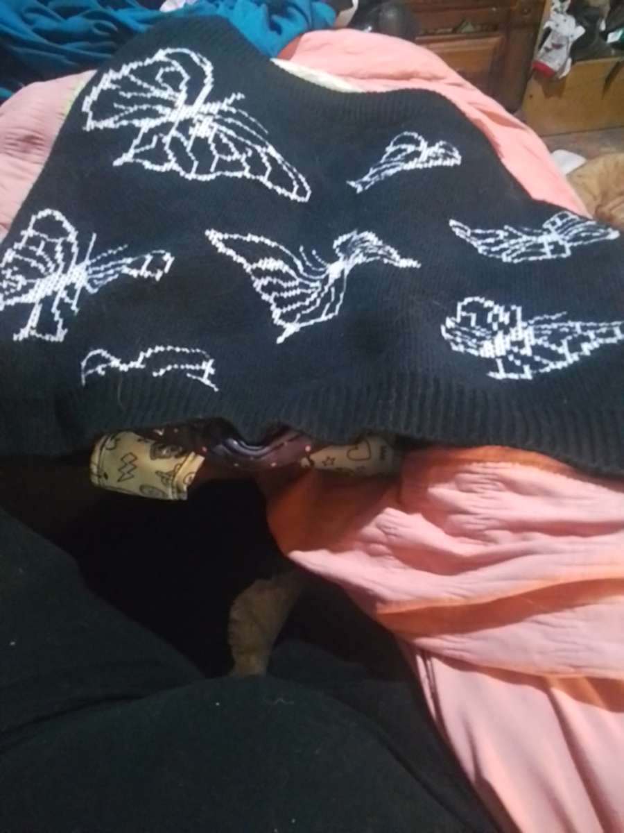 plus size sweater skirt butterfly