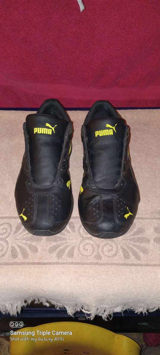 mens pumas size 10
