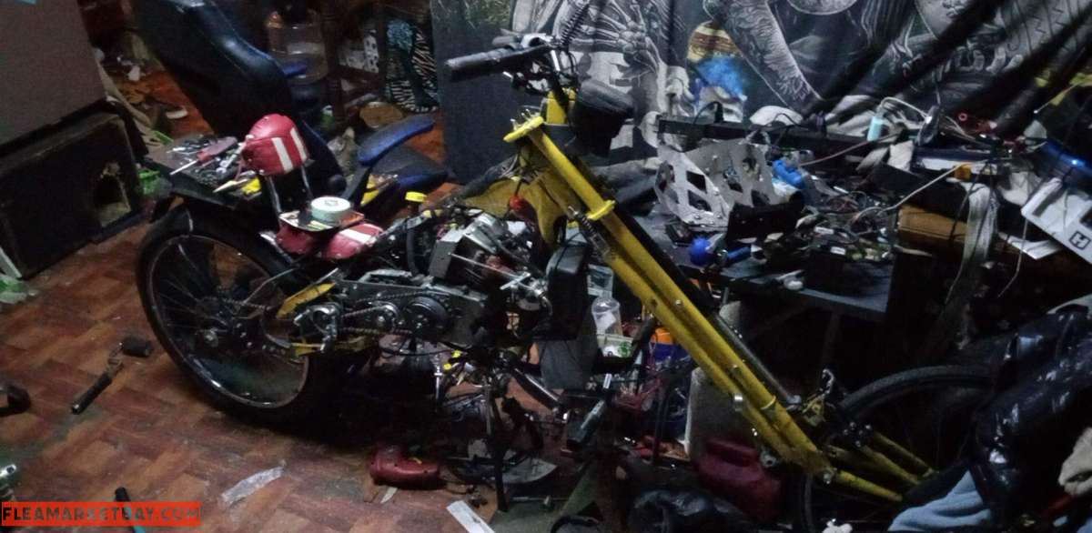 stingray custom motor bike