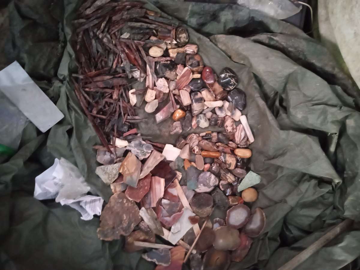 petrified opalized and agatized wood from all over the world