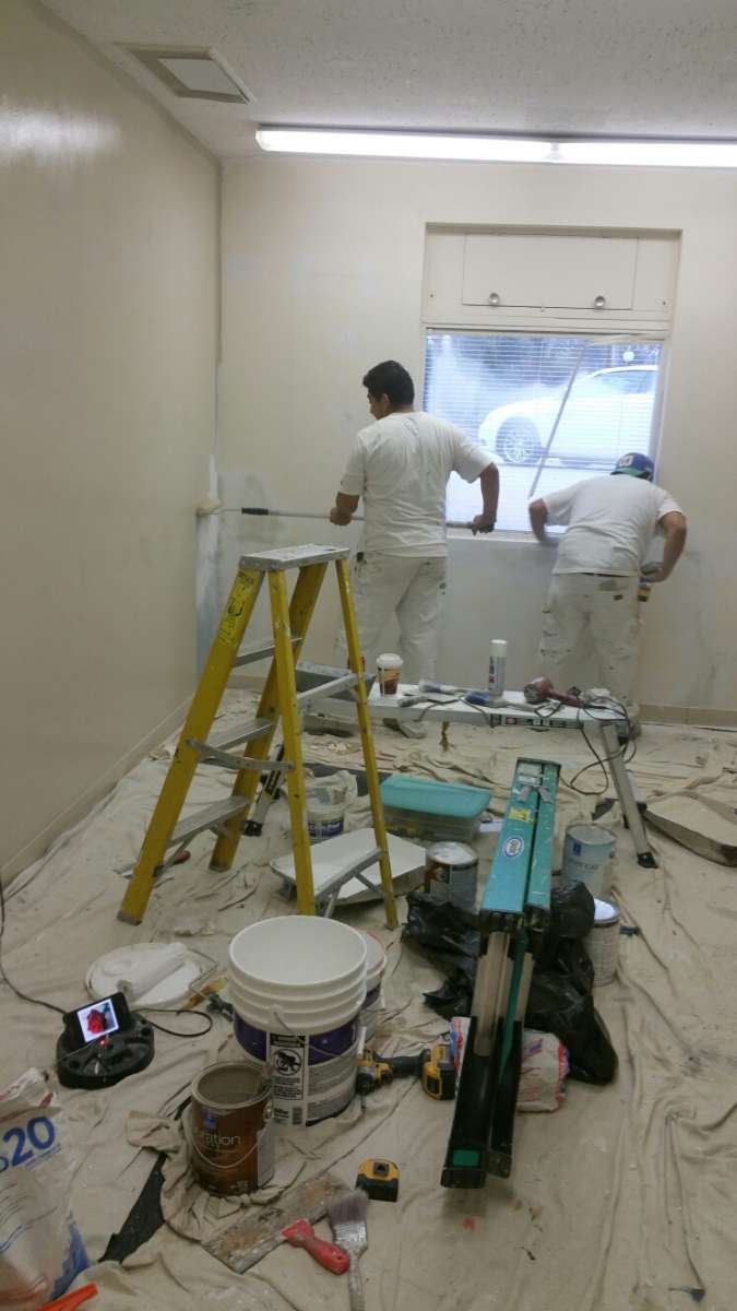 painter painting services
