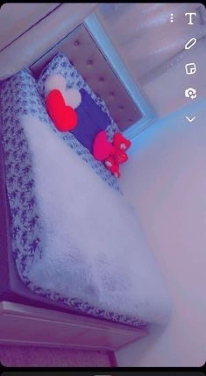 bed frame with mattress