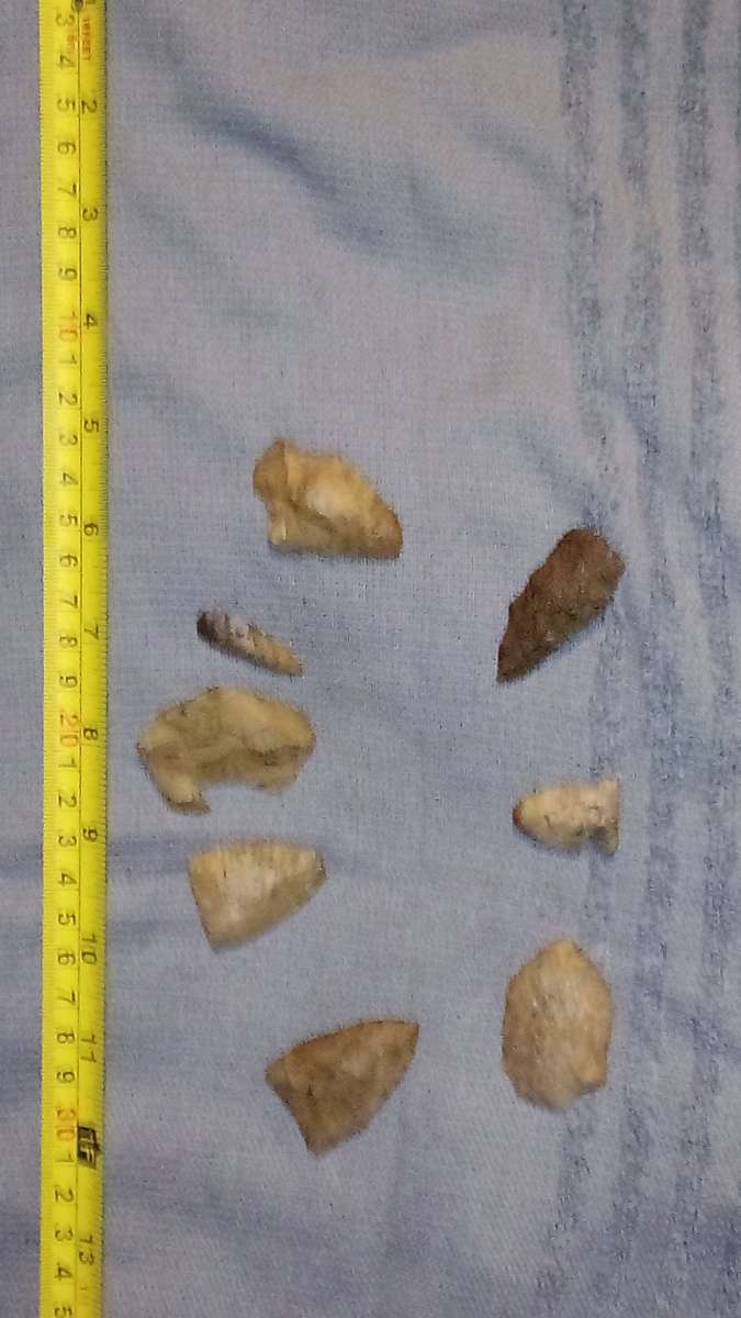 arrow heads indian artifacts