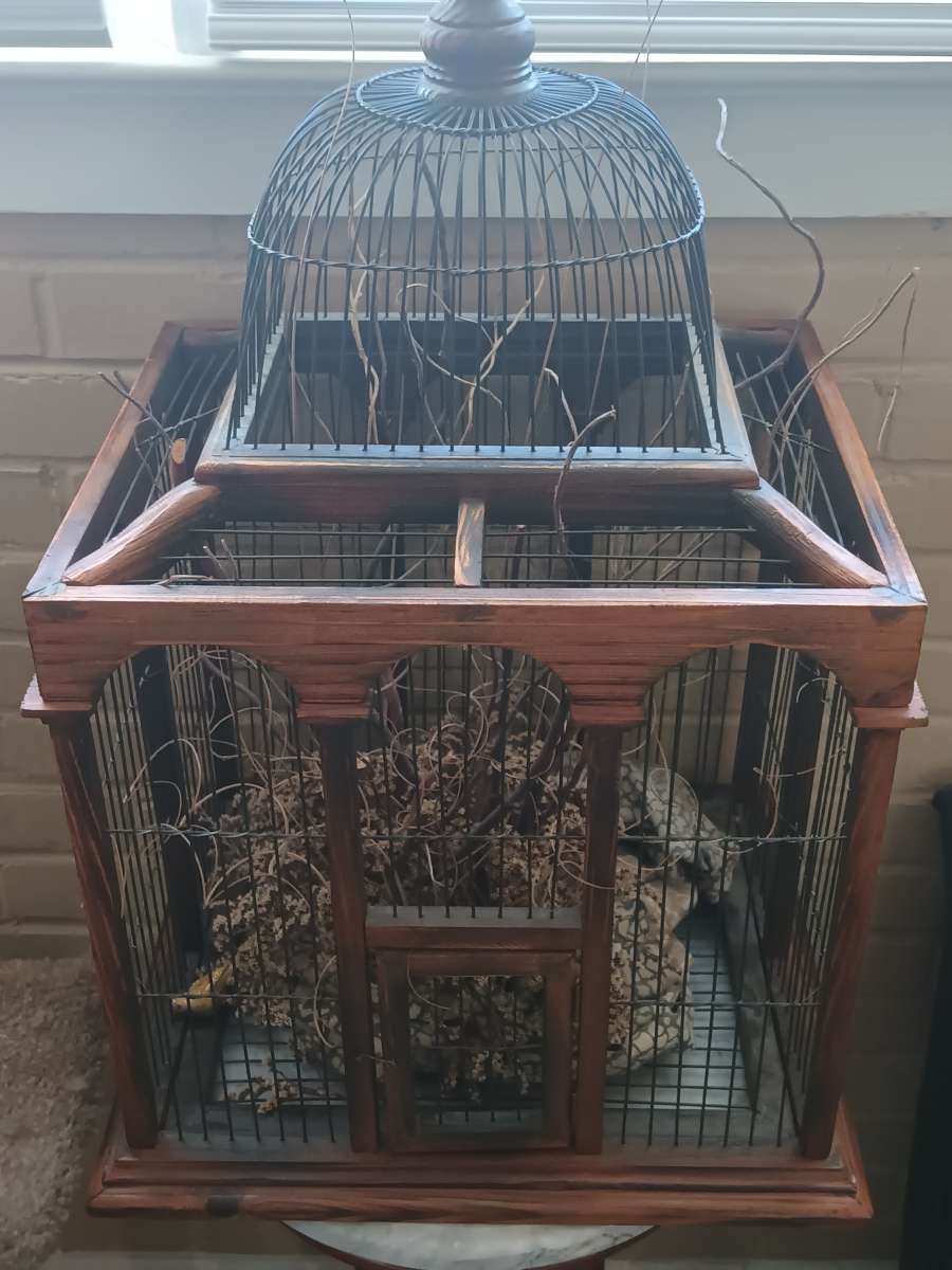 bird cages for sale