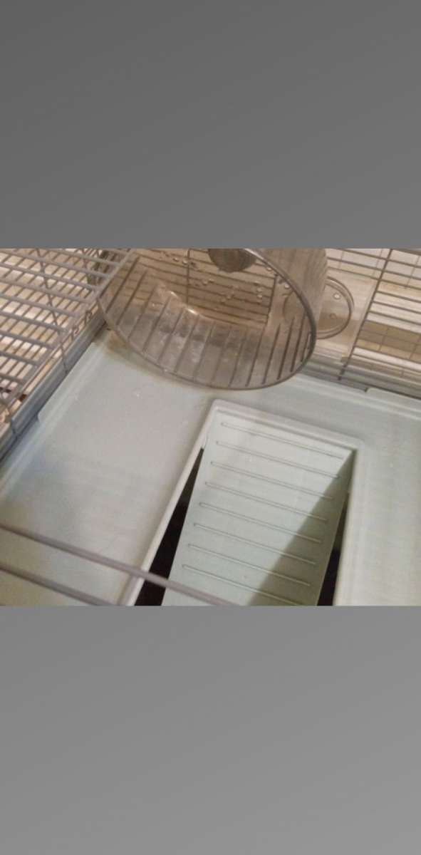 hamster cage