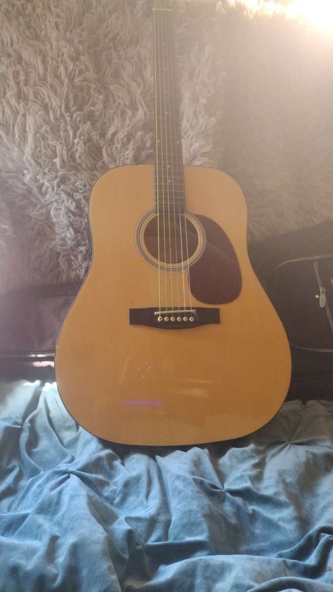 acoustic electric guitar