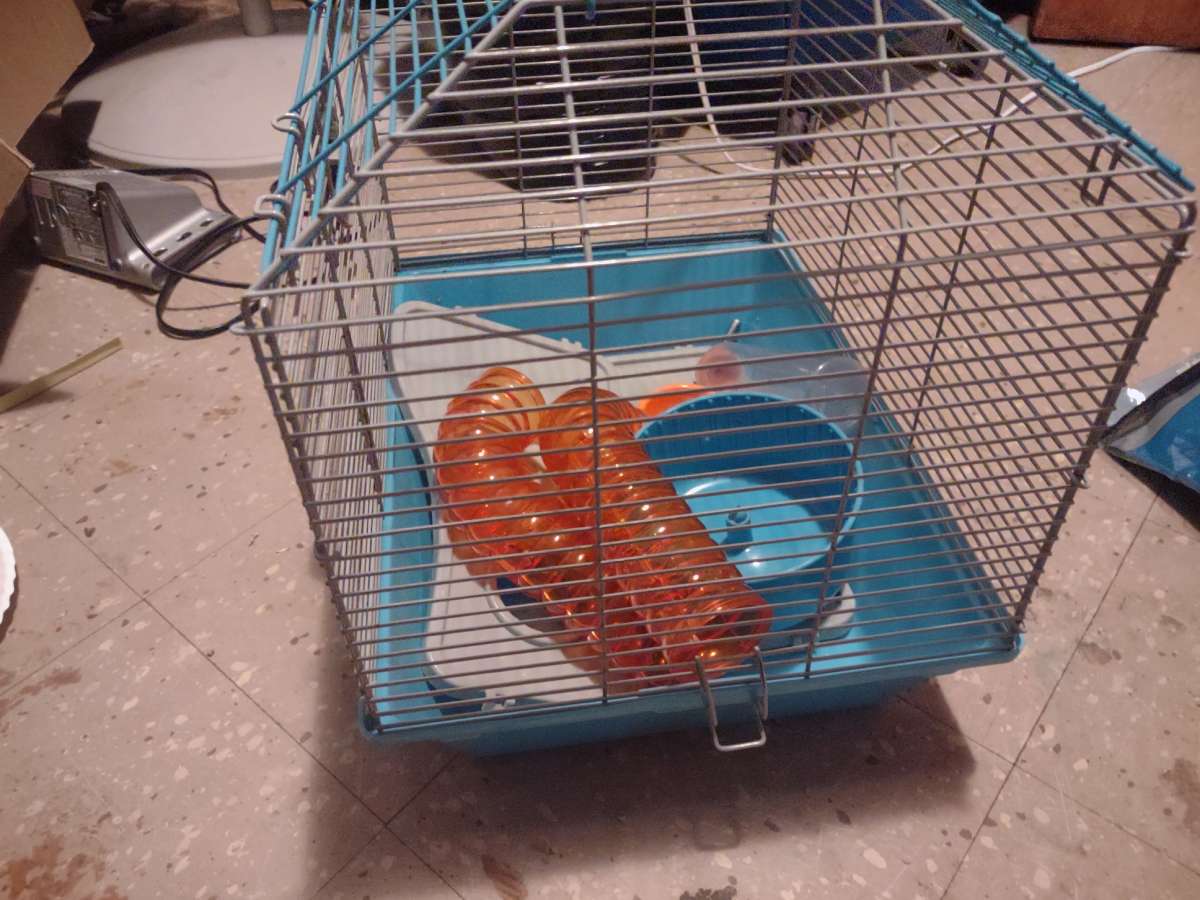 hamster cage