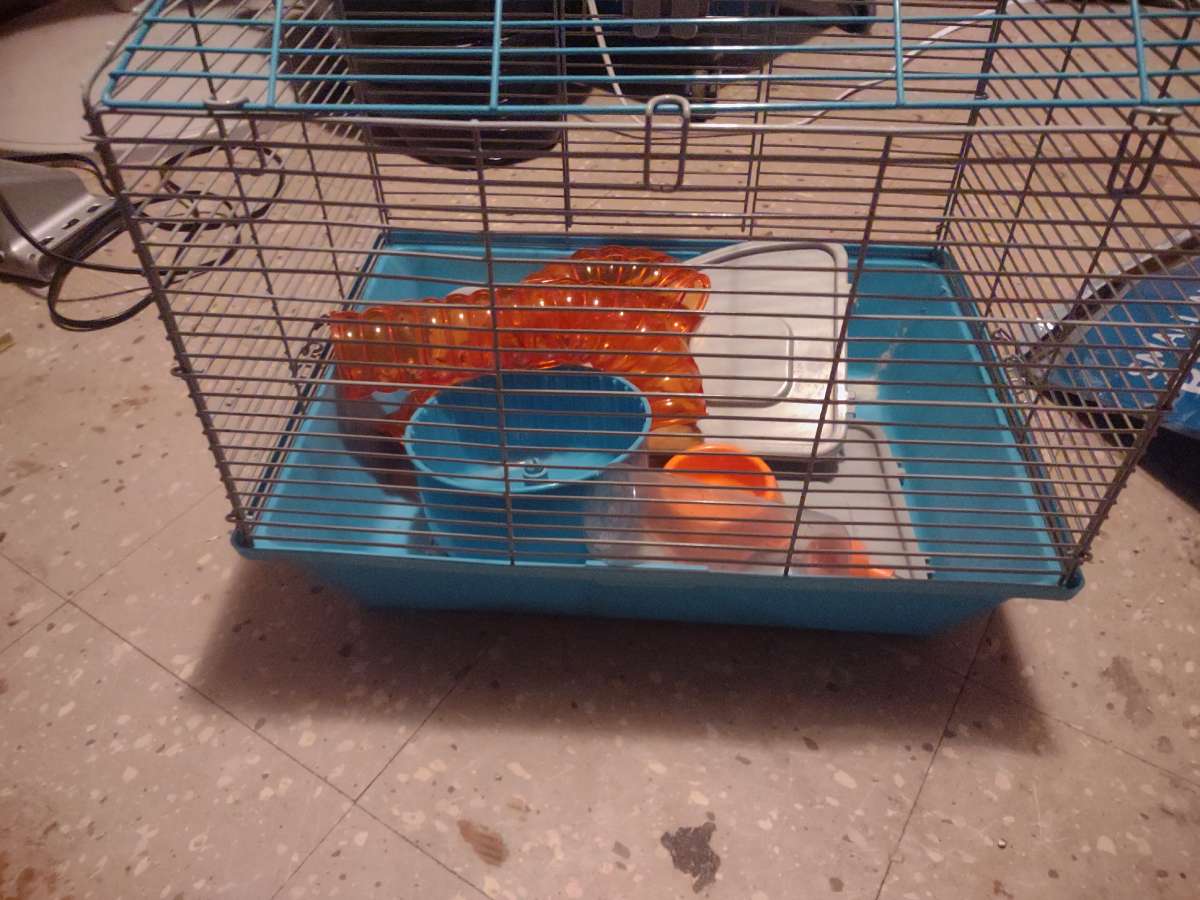 hamster cage