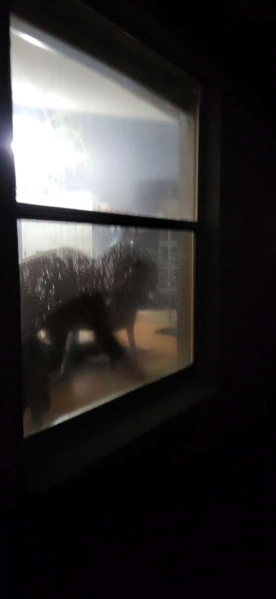 Windows cleaning inside and outside