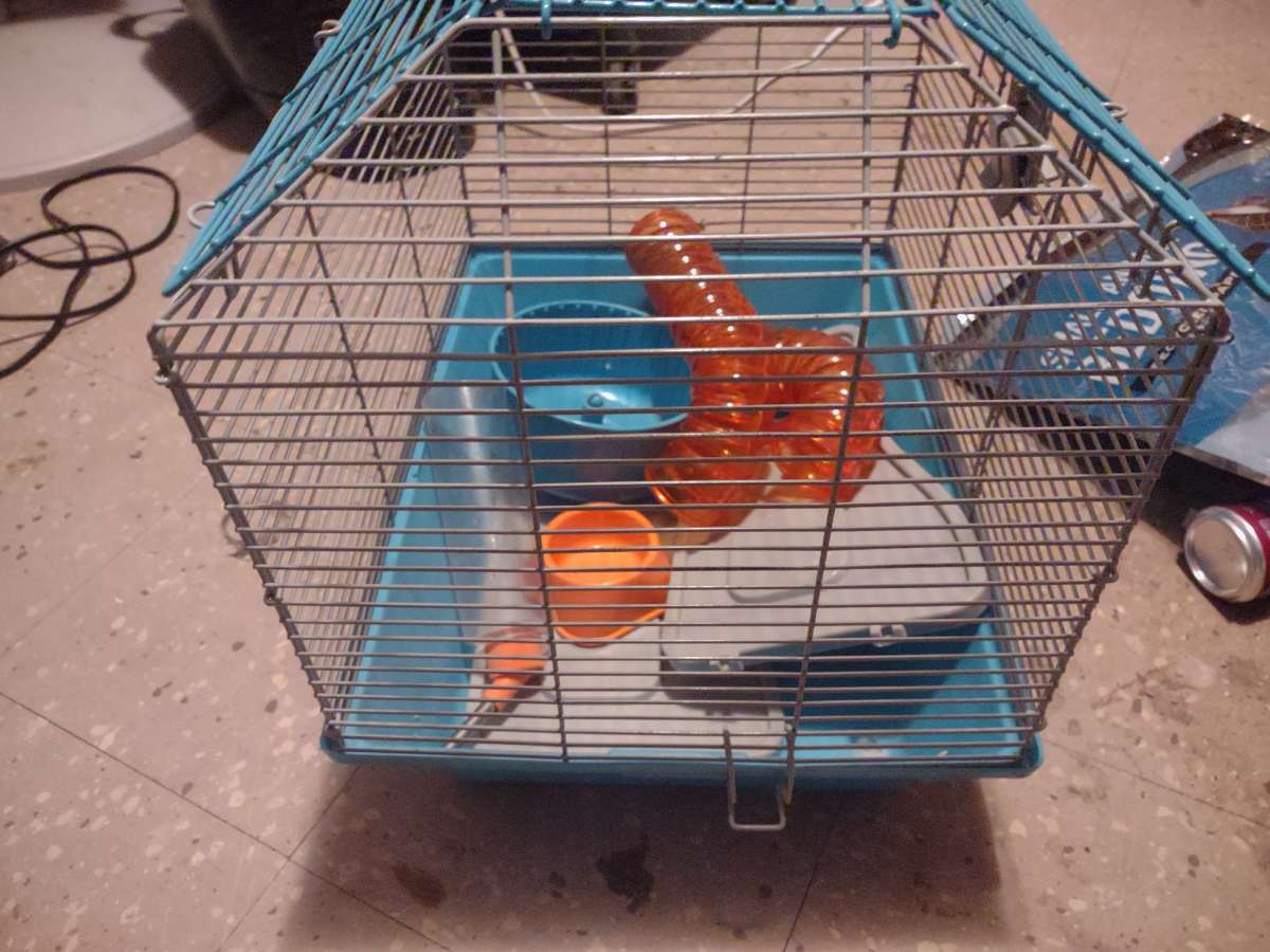 hamster cage