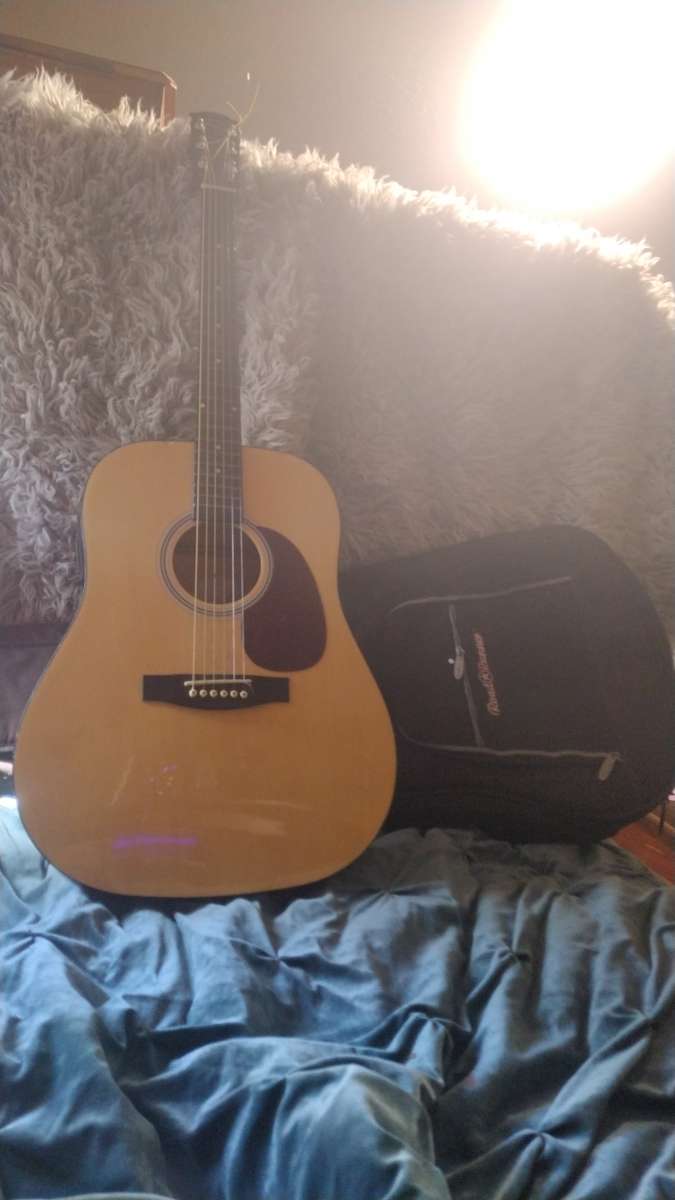 acoustic electric guitar