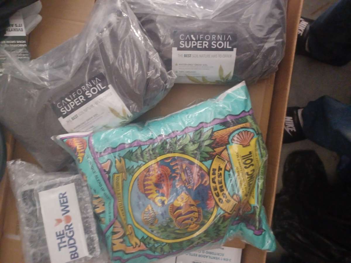 The Budgrowers advanced grow kit