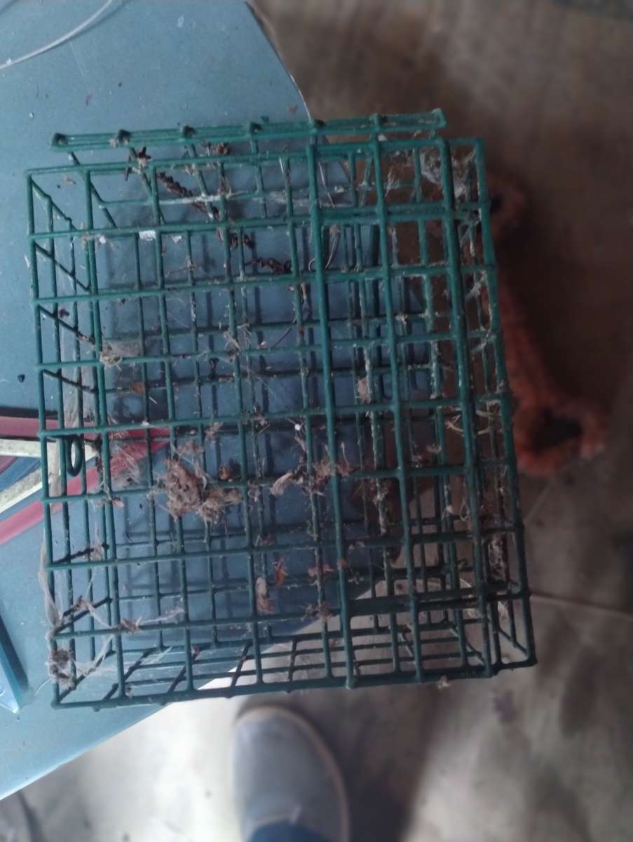 2 Metal Bird Feeders